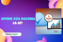 Uptime của hosting là gì? Bí quyết sở hữu website “bất tử”