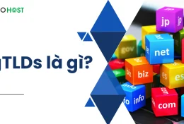 gTLDs là gì? Tìm hiểu chi tiết về gTLDs