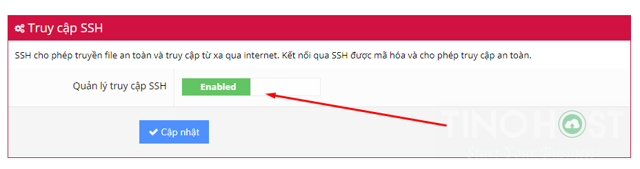 Hướng dẫn tạo chứng chỉ SSL miễn phí với Let's Encrypt 2024 4 huong-dan-tao-chung-chi-ssl-mien-phi-voi-lets-encrypt