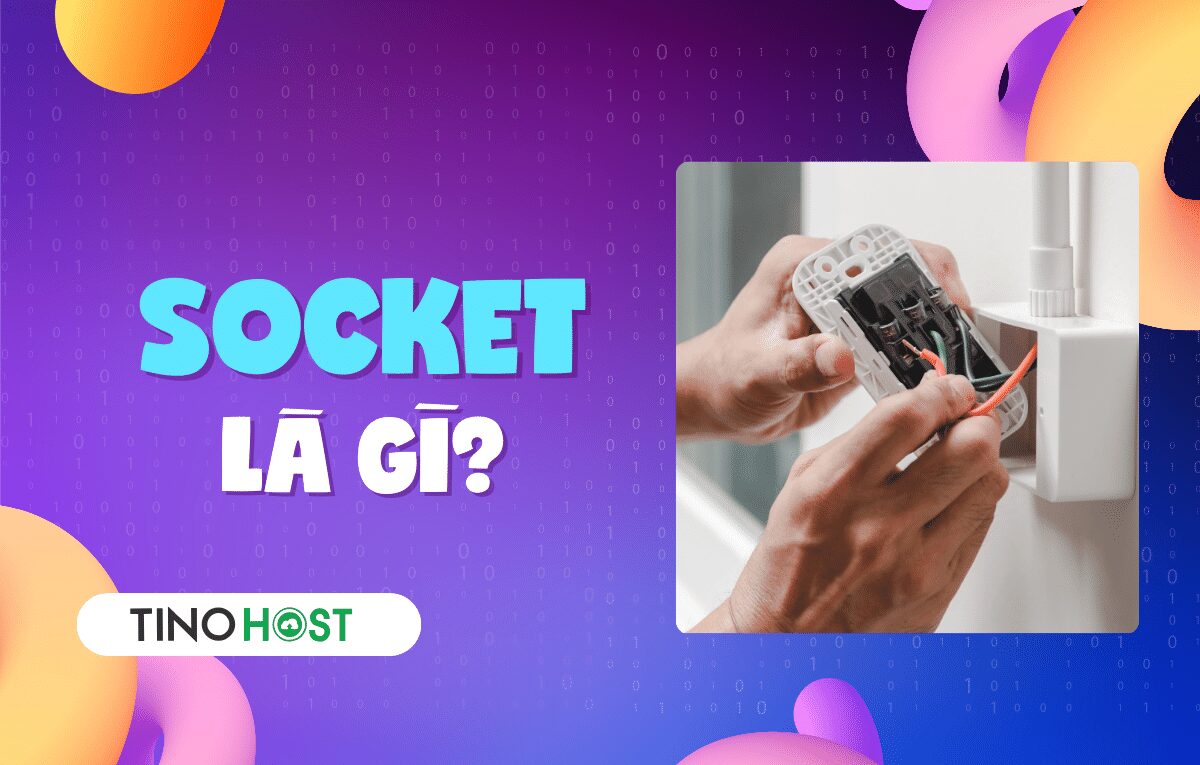 Socket là gì? Giải mã chi tiết về 