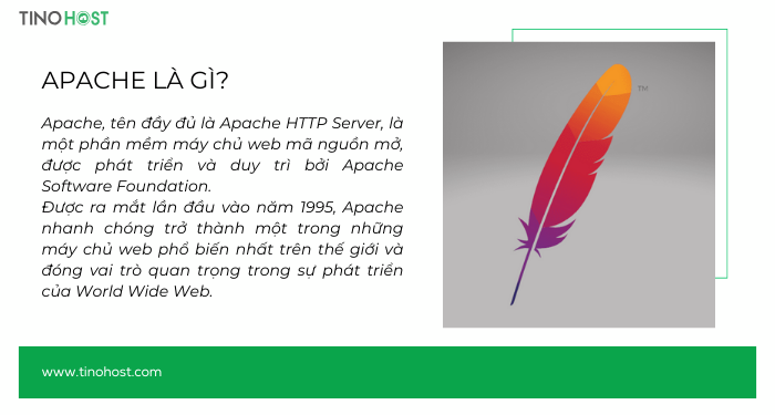 Apache là gì? Tìm hiểu chi tiết về Apache HTTP Server 1 apache-la-gi