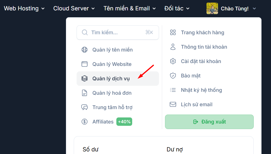 Hướng dẫn thiết lập tài khoản Mail lên Outlook 2 Đăng nhập cPanel