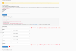 [cPanel] – Hướng dẫn tạo Cron jobs trên cPanel
