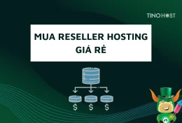 Tư vấn mua Reseller hosting giá rẻ tốt nhất năm 2024