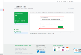 Hướng dẫn nạp tiền vào tài khoản quản lý tại TinoHost.