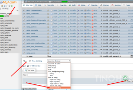 Cách khắc phục không kết nối được database trên host