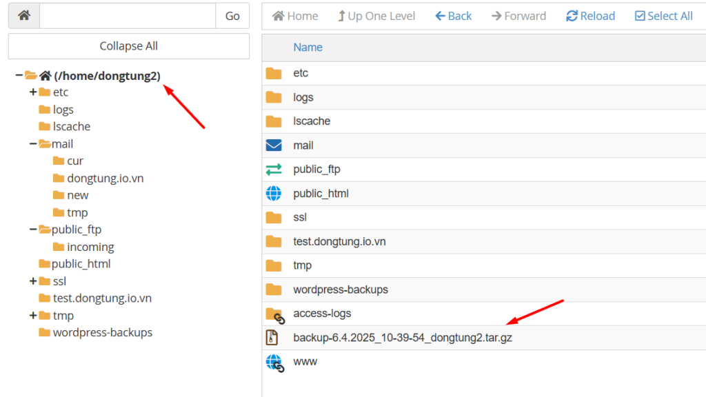 Hướng dẫn tạo backup và tải full backup toàn bộ hosting trên cPanel tại Tino 8 Tải về bản Full Backup