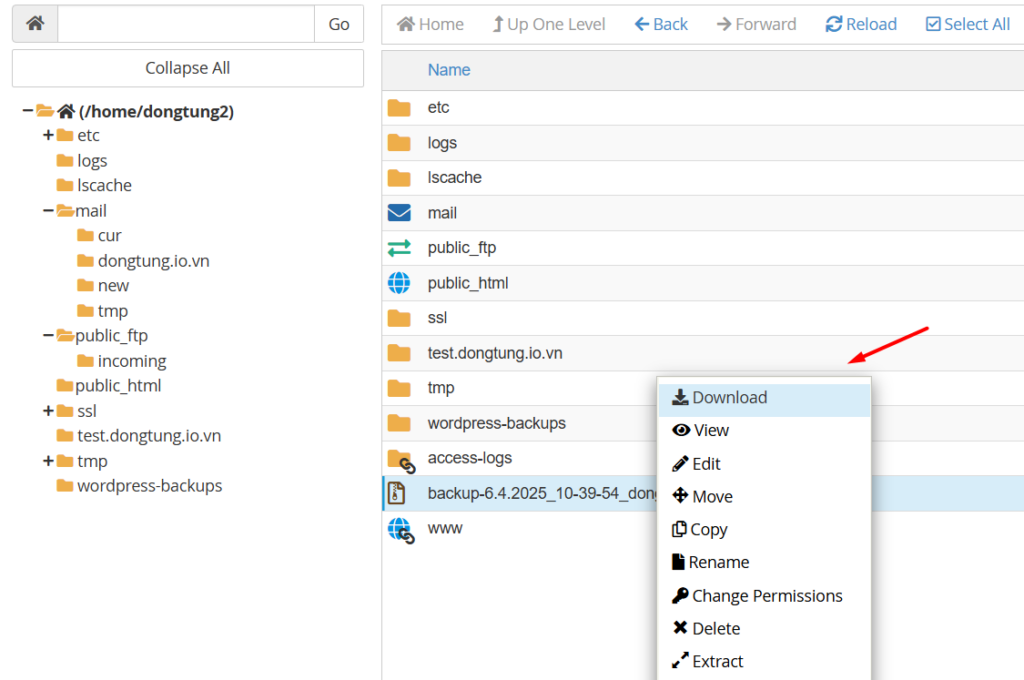Hướng dẫn tạo backup và tải full backup toàn bộ hosting trên cPanel tại Tino 9 Tải về bản Full Backup