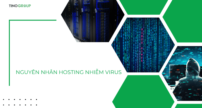 Nguyên nhân hosting nhiễm virus