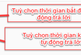 Hướng dẫn sử dụng chức năng Autoresponders (Tự động trả lời) trên Email Hosting