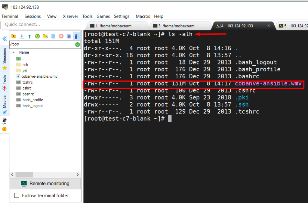 Hướng dẫn sử dụng MobaXterm để SSH vào server linux 14