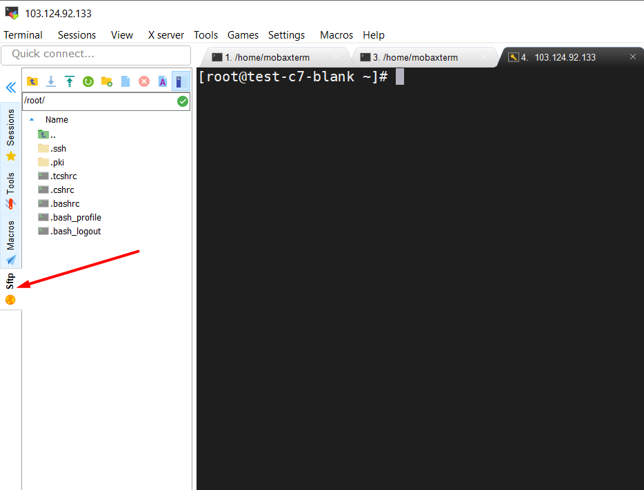 Hướng dẫn sử dụng MobaXterm để SSH vào server linux 10