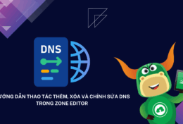 Hướng dẫn các thao tác thêm, xóa và chỉnh sửa DNS trong Zone Editor