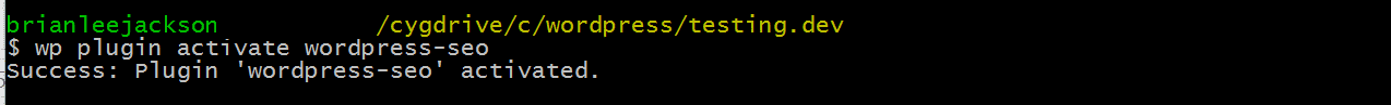 kích hoạt plugin wp-cli