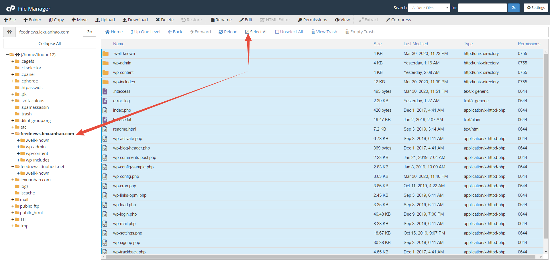 Cách xuất trang web WordPress theo cách thủ công với phpMyAdmin + SFTP 2
