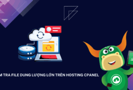 Kiểm tra file dung lượng lớn trên Hosting cPanel bằng cách nào?