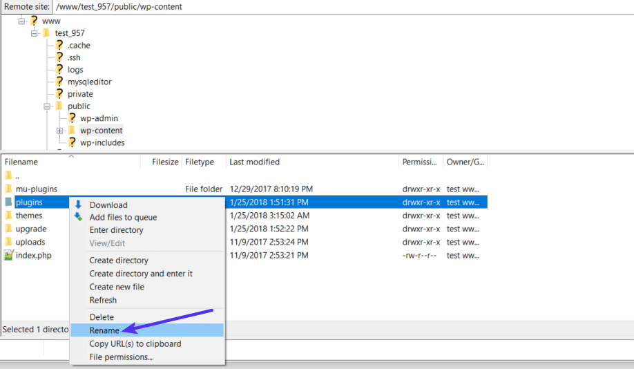 Cách đổi tên thư mục plugin