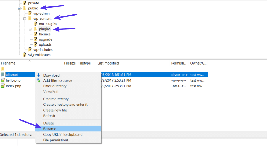 Cách tắt một plugin thông qua FTP