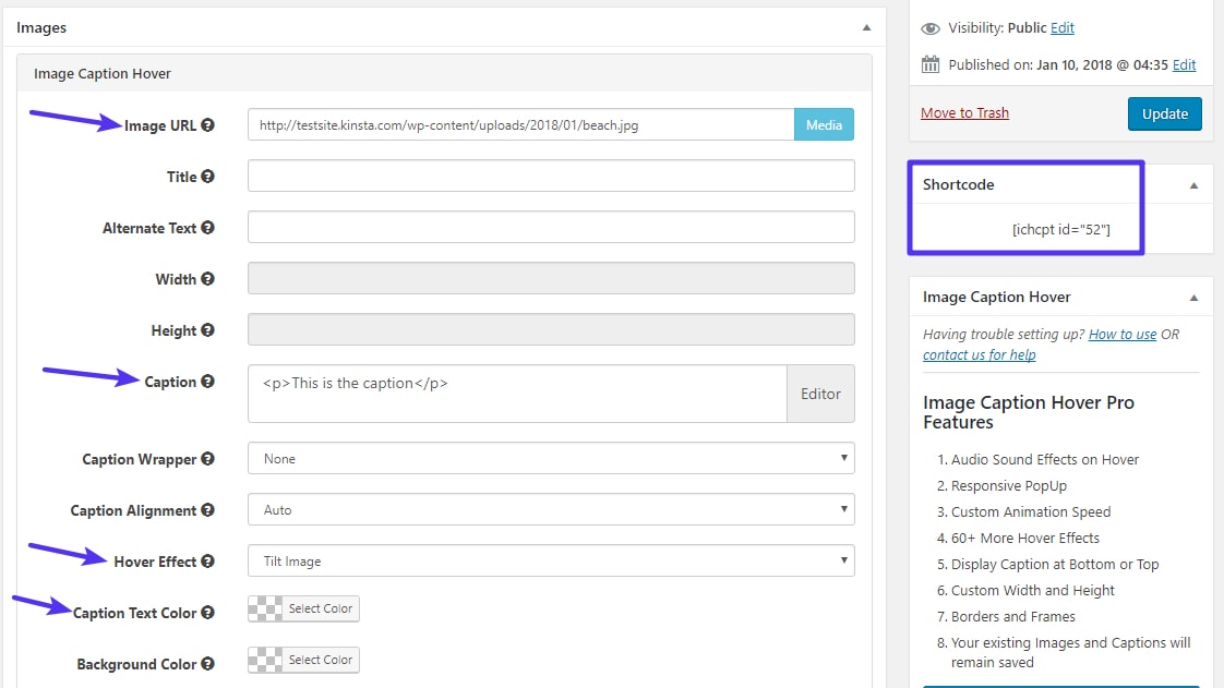 Giao diện plugin Hover Caption Hover