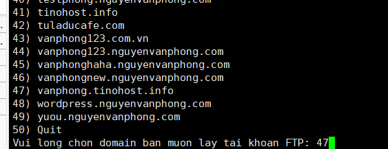Create FTP Account For Domain - Tạo tài khoản FTP cho một tên miền trên TinoScript 3