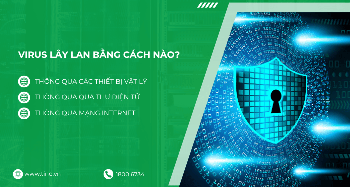 Virus máy tính là gì? Malware là gì? Tầm quan trọng của chương trình diệt virus trên hosting 2 Các phương thức lây lan của virus