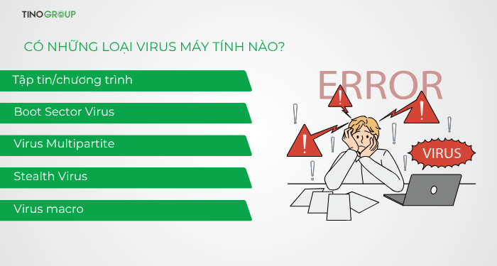 Virus máy tính là gì? Malware là gì? Tầm quan trọng của chương trình diệt virus trên hosting 3 Có những loại virus máy tính nào?