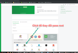Chiến lược Marketing của Biti’s: Cách kết nối cảm xúc với khách hàng