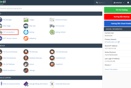 [cPanel] –  Kiểm tra các kết nối FTP đang thực hiện với FTP Connections