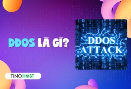 DDoS là gì? Các kiểu tấn công DDoS thường gặp hiện nay