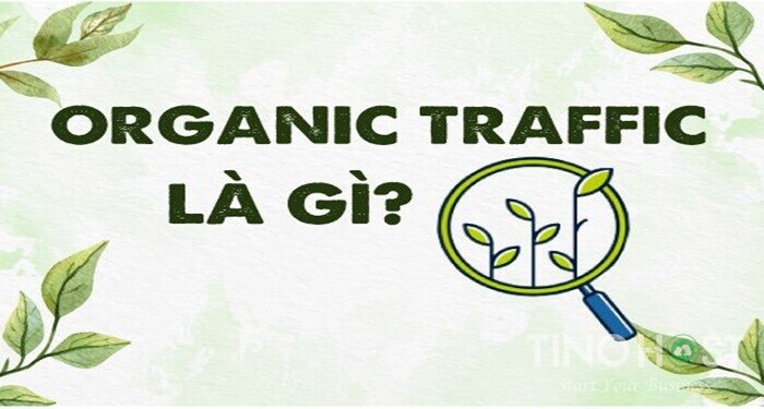 Organic Traffic là gì? Tìm hiểu chi tiết 1 organic-traffic-la-gi