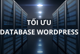 Cách tối ưu database WordPress hiệu quả mới nhất 2024