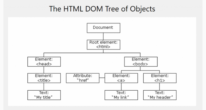 DOM là gì? DOM và JavaScript có mối quan hệ như thế nào? 3 DOM-la-gi
