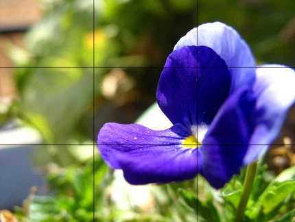 Layout là gì? 4 nguyên tắc thiết kế Layout tuyệt đẹp 10 layout-la-gi