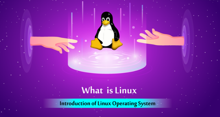Linux là gì? Tổng quan kiến thức về hệ điều hành Linux 1 he-dieu-hanh-linux-la-gi