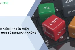 Bật mí 2 cách kiểm tra tên miền còn hạn sử dụng hay không 2024