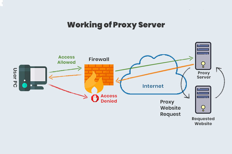 Proxy là gì? 4 loại Proxy server thường gặp 4 proxy-server-la-gi