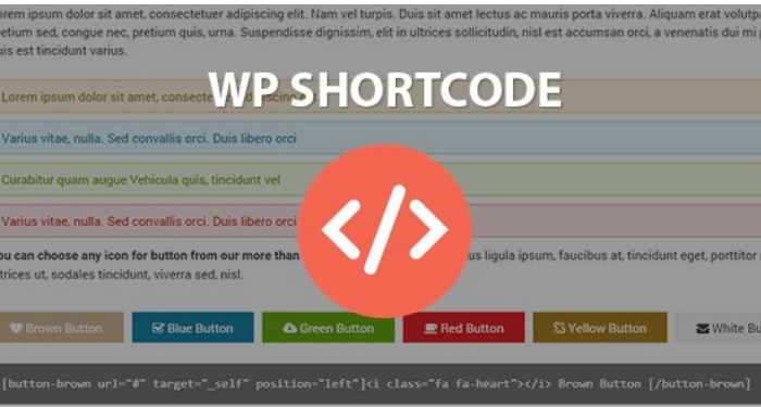 Top 6 Plugin Shortcode WordPress tốt nhất 2024 5 plugin-shortcode-wordpress