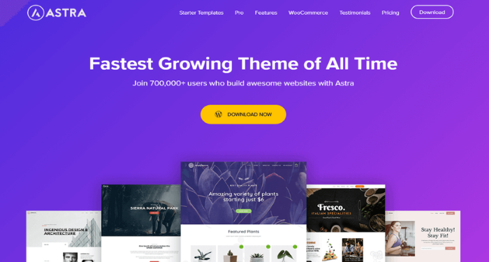 Top 20 Theme WordPress miễn phí chuẩn SEO tốt nhất 2024 3 theme-wordpress-mien-phi-chuan-seo