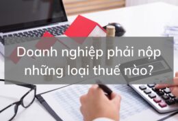 Doanh nghiệp phải nộp những loại thuế nào? Tìm hiểu về các loại thuế doanh nghiệp phải nộp