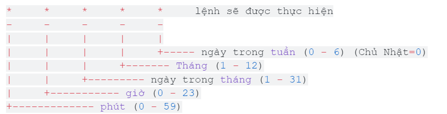 Crontab là gì? Hướng dẫn sử dụng Crontab Linux 2 crontab-la-gi