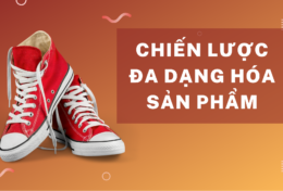 Tìm hiểu chi tiết về chiến lược đa dạng hóa sản phẩm