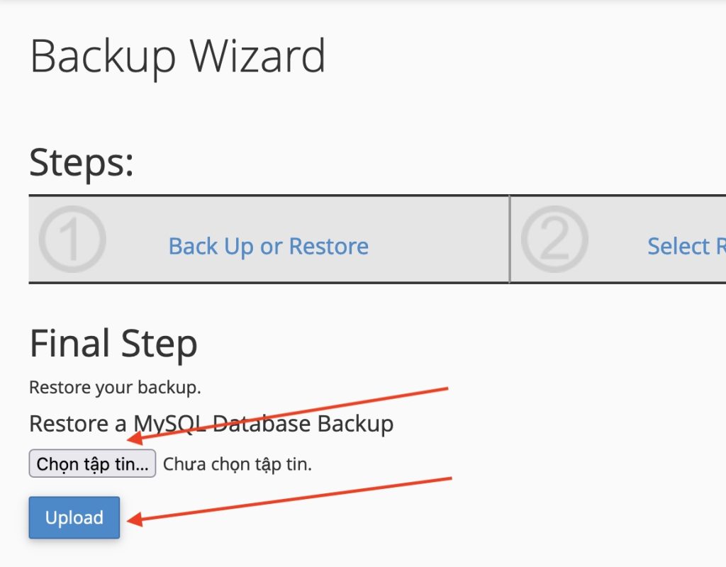 tao-full-backup-hosting
