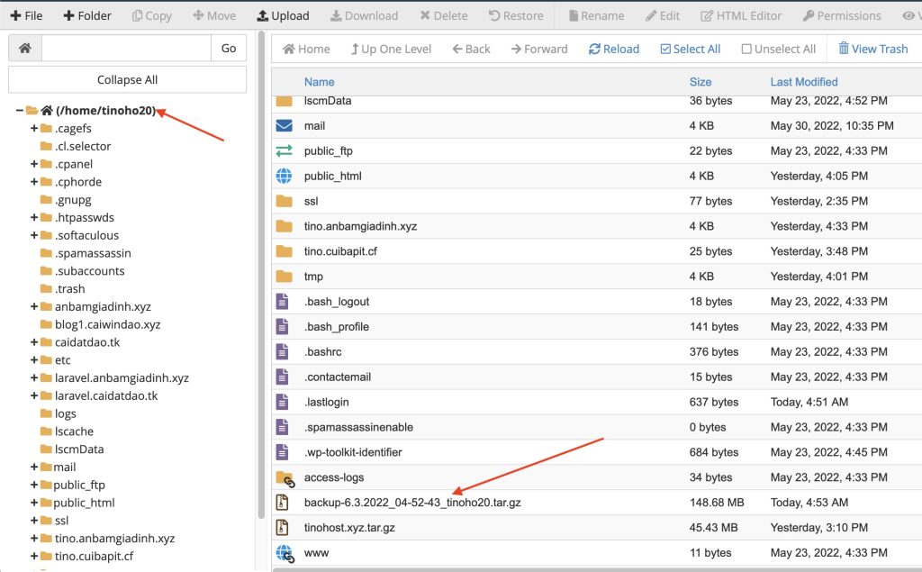 tao-full-backup-hosting