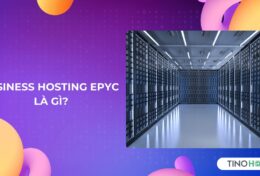 Business Hosting EPYC là gì? Hosting cấu hình cao cho doanh nghiệp lớn?