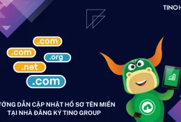 Hướng dẫn cập nhật hồ sơ tên miền tại Nhà đăng ký Tino Group