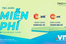 Tino Group miễn phí tên miền .ID.VN và .BIZ.VN 2 năm đầu, từ 06/2023!
