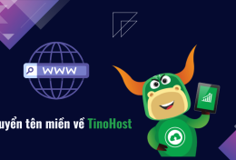 Hướng dẫn chuyển tên miền về TinoHost nhanh chóng