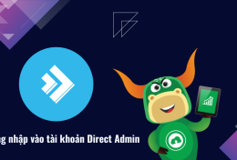 Hướng dẫn đăng nhập vào tài khoản Direct Admin trên dịch vụ Unlimited Hosting tại My Tino