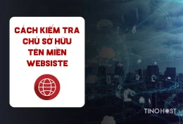 Hướng dẫn cách kiểm tra chủ sở hữu tên miền websiste 2024