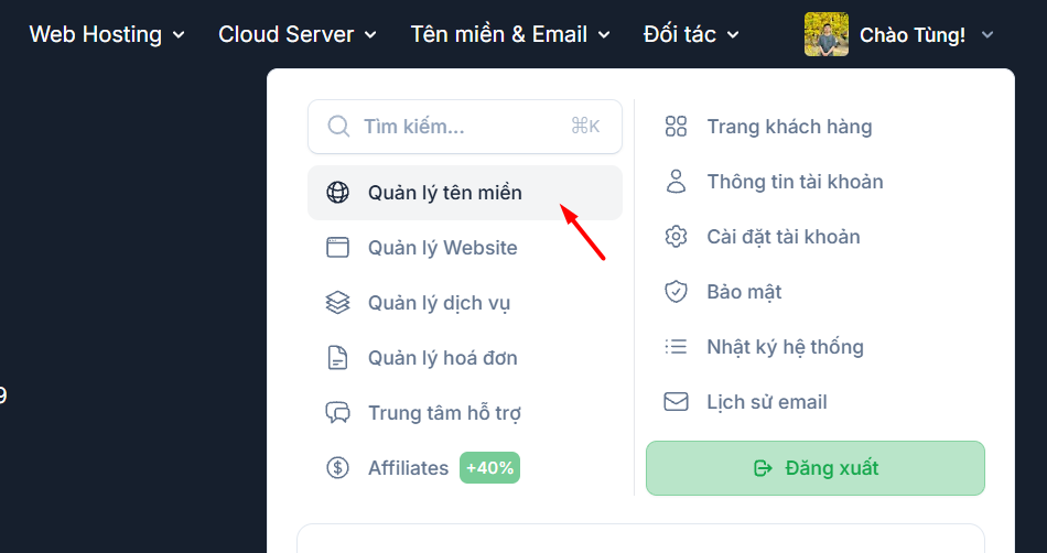 Chọn mục Quản lý tên miền